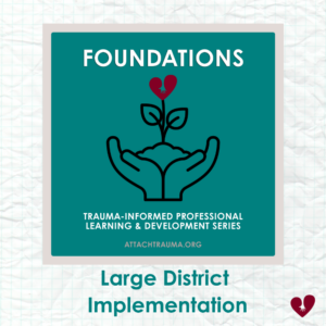 FOUNDATIONS- Large District Implementation (100+ Seats)